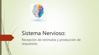 Sistema Nervioso:
Recepción de estímulos y producción de
respuestas.
 