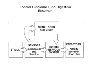Control Funcional Tubo Digestivo
Resumen
 