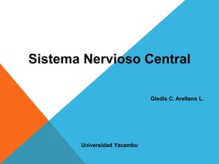 Sistema Nervioso Central
Gledis C. Arellano L.
Universidad Yacambu
 