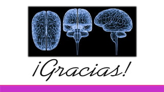 Sistema nervioso generalidades (1)