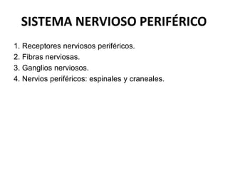 Snp Rv SISTEMA NERVIOSO GENERALIDADES Y SNP 26-1-2024.pptx