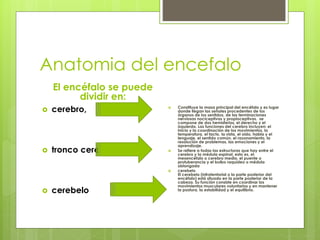 Anatomia del encefalo
El encéfalo se puede
dividir en:
 cerebro,
 tronco cerebral y
 cerebelo
 Constituye la masa principal del encéfalo y es lugar
donde llegan las señales procedentes de los
órganos de los sentidos, de las terminaciones
nerviosas nociceptivas y propioceptivas. se
compone de dos hemisferios, el derecho y el
izquierdo. Las funciones del cerebro incluyen: el
inicio y la coordinación de los movimientos, la
temperatura, el tacto, la vista, el oído, habla y el
lenguaje, el sentido común, el razonamiento, la
resolución de problemas, las emociones y el
aprendizaje.
 Se refiere a todas las estructuras que hay entre el
cerebro y la médula espinal, esto es, el
mesencéfalo o cerebro medio, el puente o
protuberancia y el bulbo raquídeo o médula
oblongada
 cerebelo
El cerebelo (infratentorial o la parte posterior del
encéfalo) está situado en la parte posterior de la
cabeza. Su función consiste en coordinar los
movimientos musculares voluntarios y en mantener
la postura, la estabilidad y el equilibrio.
 