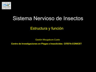 Sistema Nervioso de Insectos
Estructura y función
Centro de Investigaciones en Plagas e Insecticidas CITEFA-CONICET
Gastón Mougabure Cueto
 