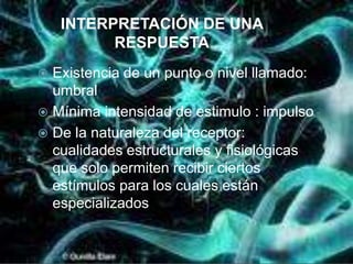 INTERPRETACIÓN DE UNA
          RESPUESTA
 Existencia de un punto o nivel llamado:
  umbral
 Mínima intensidad de estimulo : impulso
 De la naturaleza del receptor:
  cualidades estructurales y fisiológicas
  que solo permiten recibir ciertos
  estímulos para los cuales están
  especializados
 