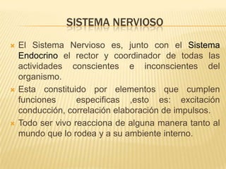 SISTEMA NERVIOSO
   El Sistema Nervioso es, junto con el Sistema
    Endocrino el rector y coordinador de todas las
    actividades conscientes e inconscientes del
    organismo.
   Esta constituido por elementos que cumplen
    funciones      especificas ,esto es: excitación
    conducción, correlación elaboración de impulsos.
   Todo ser vivo reacciona de alguna manera tanto al
    mundo que lo rodea y a su ambiente interno.
 