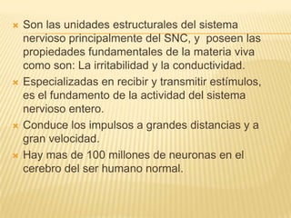   Son las unidades estructurales del sistema
    nervioso principalmente del SNC, y poseen las
    propiedades fundamentales de la materia viva
    como son: La irritabilidad y la conductividad.
   Especializadas en recibir y transmitir estímulos,
    es el fundamento de la actividad del sistema
    nervioso entero.
   Conduce los impulsos a grandes distancias y a
    gran velocidad.
   Hay mas de 100 millones de neuronas en el
    cerebro del ser humano normal.
 