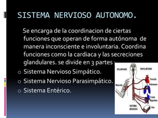 SISTEMA NERVIOSO AUTONOMO.
Se encarga de la coordinacion de ciertas
funciones que operan de forma autónoma de
manera inconsciente e involuntaria. Coordina
funciones como la cardiaca y las secreciones
glandulares. se divide en 3 partes :
o Sistema Nervioso Simpático.
o Sistema Nervioso Parasimpático.
o Sistema Entérico.
 