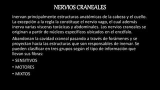 SISTEMA NERVIOSO PERIFERICO.pptx