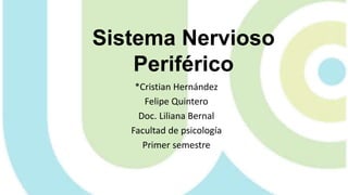 Sistema Nervioso
Periférico
*Cristian Hernández
Felipe Quintero
Doc. Liliana Bernal
Facultad de psicología
Primer semestre
 