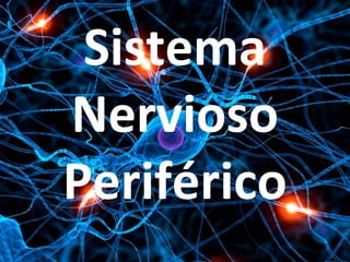 Sistema
Nervioso
Periférico
 