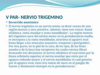 Snp Rv SISTEMA NERVIOSO PERIFERICO(SNP)PARES CRANEALES.pptx