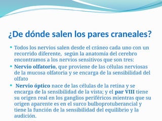 Snp Rv SISTEMA NERVIOSO PERIFERICO(SNP)PARES CRANEALES.pptx