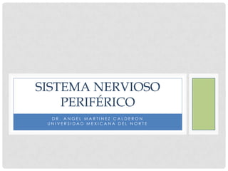 DR. ANGEL MARTINEZ CALDERON UNIVERSIDAD MEXICANA DEL NORTE Sistema Nervioso Periférico 