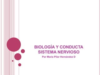 BIOLOGÍA Y CONDUCTA
SISTEMA NERVIOSO
Por María Pilar Hernández D
 