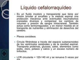 Líquido cefalorraquídeo
 Es un fluido incoloro y transparente que tiene por
misión brindar al encéfalo y la médula espinal una
protección mecánica ante eventuales traumatismos
craneales diversos y compensar los cambios de
volumen y presión de sangre intracraneal. También
actúa como termorregulador, y en menor medida en el
transporte de nutrientes y eliminación de desechos del
cerebro.
 Plexos coroideos
 Circula filtrándose a través del espacio subaracnoideo
de los ventrículos cerebrales y de la cavidad espinal.
Transporta proteínas, glucosa, sales, elementos como
sodio, cloro, potasio y calcio y un escaso número de
linfocitos.
 LCR circulante = 120-140 ml y se renueva 5 veces por
 