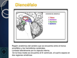 Región anatómica del cerebro que se encuentra entre el tronco
encefálico y los hemisferios cerebrales.
Limitado lateralmente por la cápsula interna.
En la línea media se encuentra el III ventrículo, el cual lo separa en
dos regiones simétricas
 