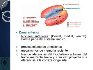  Zona anterior:
1. Núcleos anteriores: (Dorsal, medial, ventral).
Forma parte del sistema límbico .
a) procesamiento de emociones
b) mecanismos de memoria reciente
c) Recibe aferencias del hipotálamo a través del
tracto mamilotalámico y a su vez proyecta sus
eferencias a la corteza cingulada.
 