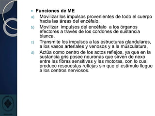  Funciones de ME
a) Movilizar los impulsos provenientes de todo el cuerpo
hacia las áreas del encéfalo,
b) Movilizar impulsos del encéfalo a los órganos
efectores a través de los cordones de sustancia
blanca.
c) Transmite los impulsos a las estructuras glandulares,
a los vasos arteriales y venosos y a la musculatura,
d) Actúa como centro de los actos reflejos, ya que en la
sustancia gris posee neuronas que sirven de nexo
entre las fibras sensitivas y las motoras, con lo cual
produce respuestas reflejas sin que el estímulo llegue
a los centros nerviosos.
 