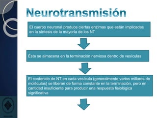 El cuerpo neuronal produce ciertas enzimas que están implicadas
en la síntesis de la mayoría de los NT
Éste se almacena en la terminación nerviosa dentro de vesículas
El contenido de NT en cada vesícula (generalmente varios millares de
moléculas) se liberan de forma constante en la terminación, pero en
cantidad insuficiente para producir una respuesta fisiológica
significativa
 