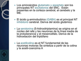  Los aminoácidos glutamato y aspartato son los
principales NT excitatorios del SNC. Están
presentes en la corteza cerebral, el cerebelo y la
ME.
 El ácido g-aminobutírico (GABA) es el principal NT
inhibitorio cerebral. Deriva del ácido glutámico
 La serotonina (5-hidroxitriptamina) se origina en el
núcleo del rafe y las neuronas de la línea media de
la protuberancia y el mesencéfalo. Deriva de la
hidroxilación del triptófano
 La acetilcolina es el NT fundamental de las
neuronas motoras Se sintetiza a partir de la colina
y la acetil-coenzima A
 