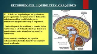 SISTEMA NERVIOSO.pptx