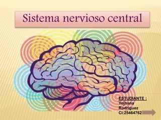 Sistema nervioso central
ESTUDIANTE :
Yojhana
Rodríguez
CI:25464762
 