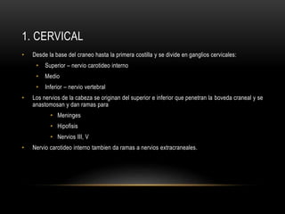 1. CERVICAL
• Desde la base del craneo hasta la primera costilla y se divide en ganglios cervicales:
• Superior – nervio carotideo interno
• Medio
• Inferior – nervio vertebral
• Los nervios de la cabeza se originan del superior e inferior que penetran la boveda craneal y se
anastomosan y dan ramas para
• Meninges
• Hipofisis
• Nervios III, V
• Nervio carotideo interno tambien da ramas a nervios extracraneales.
 