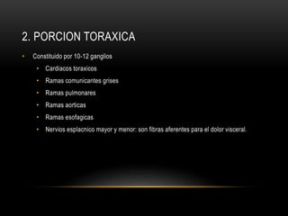 2. PORCION TORAXICA
• Constituido por 10-12 ganglios
• Cardiacos toraxicos
• Ramas comunicantes grises
• Ramas pulmonares
• Ramas aorticas
• Ramas esofagicas
• Nervios esplacnico mayor y menor: son fibras aferentes para el dolor visceral.
 