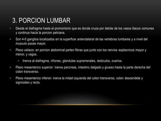 3. PORCION LUMBAR
• Desde el diafragma hasta el promontorio que es donde cruza por detrás de los vasos iliacos comunes
y continua hacia la porcion pelviana.
• Son 4-5 ganglios localizados en la superficie anterolateral de las vertebras lumbares y a nivel del
musculo psoas mayor.
• Plexo celiaco: en porcion abdominal parten fibras que junto con los nervios esplacnicos mayor y
menor, y vagos.
• Inerva al diafragma, riñones, glandulas suprarrenales, testiculos, ovarios.
• Plexo mesenterico superior: inerva pancreas, intestino delgado y grueso hasta la parte derecha del
colon transverso.
• Plexo mesenterico inferior: inerva la mitad izquierda del colon transverso, colon descendete y
sigmoideo y recto.
 