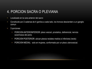 4. PORCION SACRA O PLEVIANA
• Localizado en la cara anterior del sacro
• Constituido por 2 cadenas de 4 ganlios a cada lado, los troncos descienden a un ganglio
comun
• 3 porciones
• PORCION ANTEROINFERIOR: plexo vesical, prostatico, deferencial, nervios
cavernosos del pene.
• PORCION POSTERIOR: ubican plexos rectales medios e inferiores (recto)
• PORCION MEDIAL: solo en mujeres, conformado por un plexo uterovesical.
 