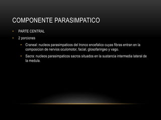 COMPONENTE PARASIMPATICO
• PARTE CENTRAL
• 2 porciones
• Craneal: nucleos parasimpaticos del tronco encefalico cuyas fibras entran en la
composicion de nervios oculomotor, facial, glosofaringeo y vago.
• Sacra: nucleos parasimpaticos sacros situados en la sustancia intermedia lateral de
la medula.
 