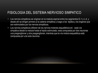 FISIOLOGIA DEL SISTEMA NERVIOSO SIMPATICO
 Los nervios simpáticos se originan en la medula espinal entre los segmentos D-1 y L-2, y
desde allí se dirigen primero a la cadena simpática y luego a los tejidos y los órganos que
son estimulados por los nervios simpáticos.
 Los nervios simpáticos difieren de los nervios motores esqueléticos en: cada vía
simpática desde la medula hasta el tejido estimulado, esta compuesta por dos neuronas
una preganglionar y otra posganglionar, mientras que la vía motora esquelética está
compuesta por una sola neurona.
 