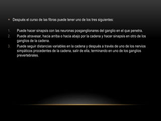  Después el curso de las fibras puede tener uno de los tres siguientes:
1. Puede hacer sinapsis con las neuronas posganglionares del ganglio en el que penetra.
2. Puede atravesar, hacia arriba o hacia abajo por la cadena y hacer sinapsis en otro de los
ganglios de la cadena.
3. Puede seguir distancias variables en la cadena y después a través de uno de los nervios
simpáticos procedentes de la cadena, salir de ella, terminando en uno de los ganglios
prevertebrales.
 