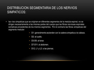 DISTRIBUCION SEGMENTARIA DE LOS NERVIOS
SIMPATICOS:
 las vías simpaticas que se originan en diferentes segmentos de la medula espinal, no se
dirigen necesariamente a las mismas partes del cuerpo que las fibras nerviosas espinales
somaticas procedentes de los mismos segmentos. Por el contrario las fibras simpaticas del
segmento medular:
• D1: generalmente ascienden con la cadena simpatica a la cabeza.
• D2: al cuello.
• D3-D6: al torax
• D7-D11: al abdomen.
• D12, L1 y L2: a las piernas.
 