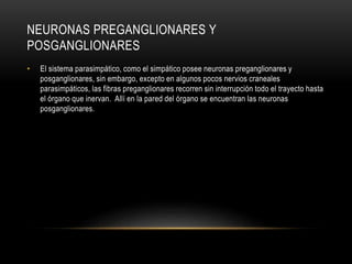 NEURONAS PREGANGLIONARES Y
POSGANGLIONARES
• El sistema parasimpático, como el simpático posee neuronas preganglionares y
posganglionares, sin embargo, excepto en algunos pocos nervios craneales
parasimpáticos, las fibras preganglionares recorren sin interrupción todo el trayecto hasta
el órgano que inervan. Allí en la pared del órgano se encuentran las neuronas
posganglionares.
 