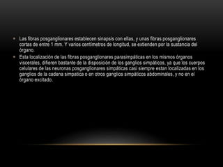  Las fibras posganglionares establecen sinapsis con ellas, y unas fibras posganglionares
cortas de entre 1 mm. Y varios centímetros de longitud, se extienden por la sustancia del
órgano.
 Esta localización de las fibras posganglionares parasimpáticas en los mismos órganos
viscerales, difieren bastante de la disposición de los ganglios simpáticos, ya que los cuerpos
celulares de las neuronas posganglionares simpáticas casi siempre estan localizadas en los
ganglios de la cadena simpatica o en otros ganglios simpáticos abdominales, y no en el
órgano excitado.
 