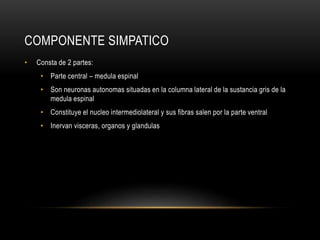 COMPONENTE SIMPATICO
• Consta de 2 partes:
• Parte central – medula espinal
• Son neuronas autonomas situadas en la columna lateral de la sustancia gris de la
medula espinal
• Constituye el nucleo intermediolateral y sus fibras salen por la parte ventral
• Inervan visceras, organos y glandulas
 