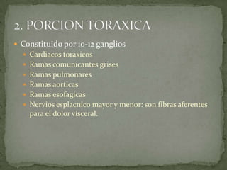  Constituido por 10-12 ganglios
 Cardiacos toraxicos
 Ramas comunicantes grises
 Ramas pulmonares
 Ramas aorticas
 Ramas esofagicas
 Nervios esplacnico mayor y menor: son fibras aferentes
para el dolor visceral.
 