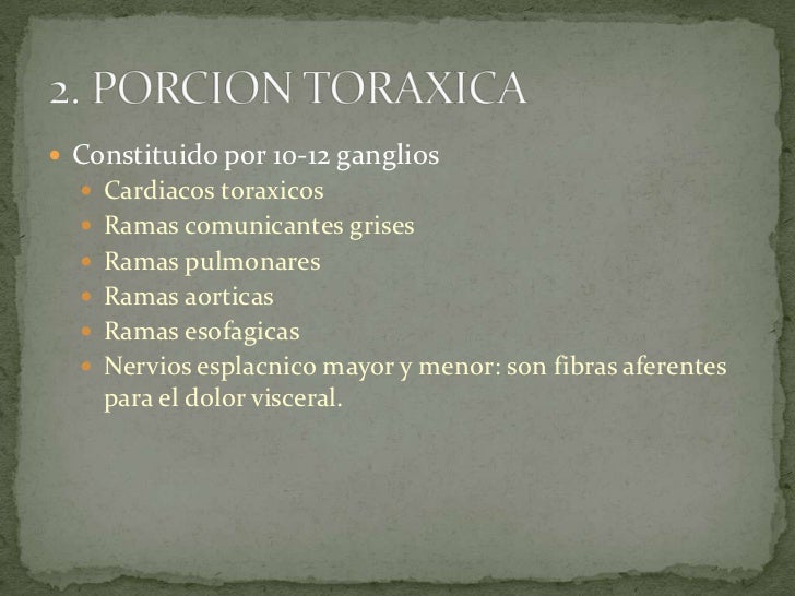Los dolores frecuentes en el campo del cuello