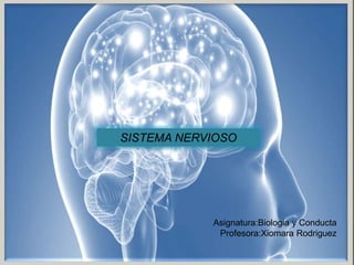 Asignatura:Biologia y Conducta
Profesora:Xiomara Rodriguez
SISTEMA NERVIOSO
 