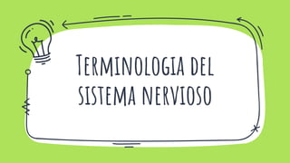 Terminologia del
sistema nervioso
 