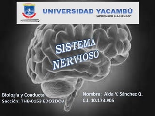 Nombre: Aida Y. Sánchez Q.
C.I. 10.173.905
Biología y Conducta
Sección: THB-0153 EDO2DOV
 