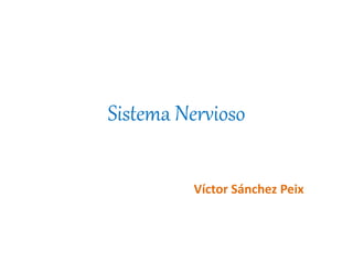 Sistema Nervioso
Víctor Sánchez Peix
 