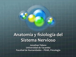 Anatomía	
  y	
  ﬁsiología	
  del	
  
Sistema	
  Nervioso	
  	
  
Jonathan	
  Tabare	
  
Universidad	
  de	
  Yacambú	
  
Facultad	
  de	
  Humanidades	
  –	
  PEAD,	
  Psicología	
  
 