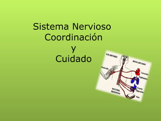 Sistema Nervioso
   Coordinación
        y
     Cuidado
 