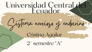 Sistema nervioso y endocrino
Cristina Aguilar
2° semestre "A"
Universidad Central del
Ecuador
 