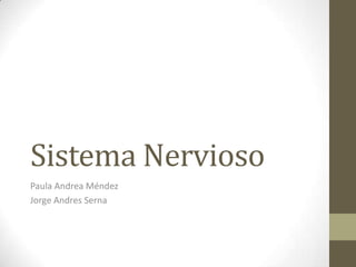 Sistema Nervioso
Paula Andrea Méndez
Jorge Andres Serna
 