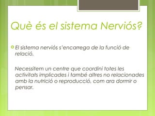 Què és el sistema Nerviós?
 El sistema nerviós s’encarrega de la funció de
relació.
Necessitem un centre que coordini totes les
activitats implicades i també altres no relacionades
amb la nutrició o reproducció, com ara dormir o
pensar.
 