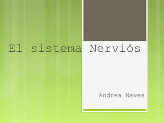 El sistema Nerviós
Andrea Neves
 