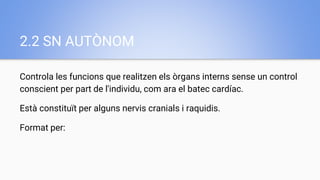 2.2 SN AUTÒNOM
Controla les funcions que realitzen els òrgans interns sense un control
conscient per part de l'individu, com ara el batec cardíac.
Està constituït per alguns nervis cranials i raquidis.
Format per:
 
